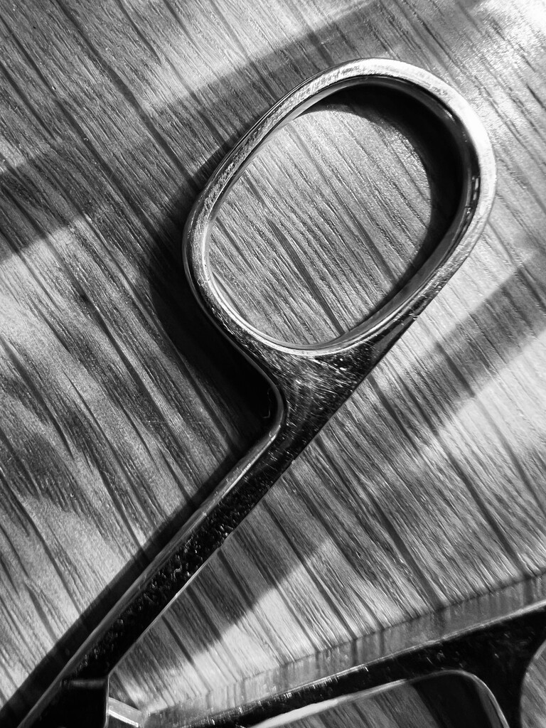 Scissors  by gaillambert