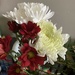 Bouquet  by spanishliz