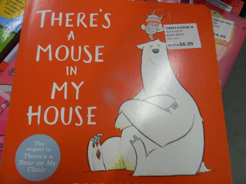 There's a Mouse in My House Book at BJ's by sfeldphotos