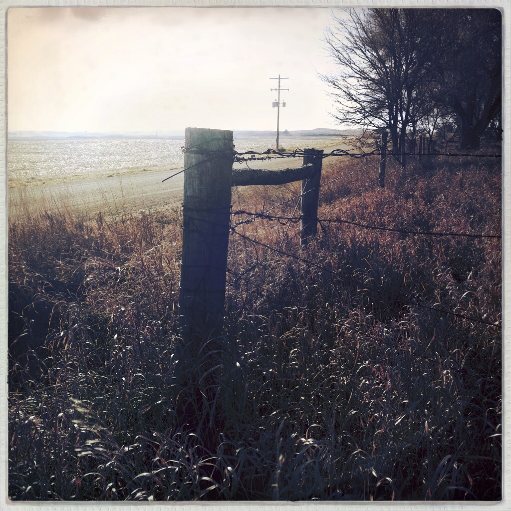 Fence post - Nebraska by jeffjones