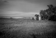 17th Dec 2023 - Farmland in B&W