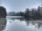 23rd Dec 2023 -  fog & the river