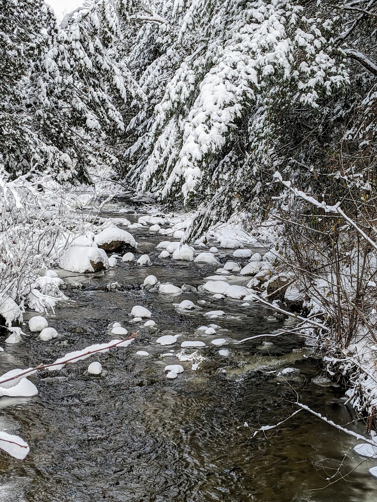 The Creek in Winter by cwarrior