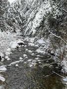 14th Dec 2023 - The Creek in Winter