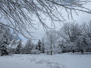 6th Dec 2023 - First Snow