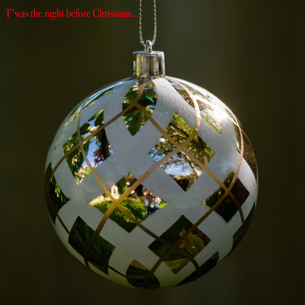 A Garden Bauble For Christmas Eve PC243596 by merrelyn
