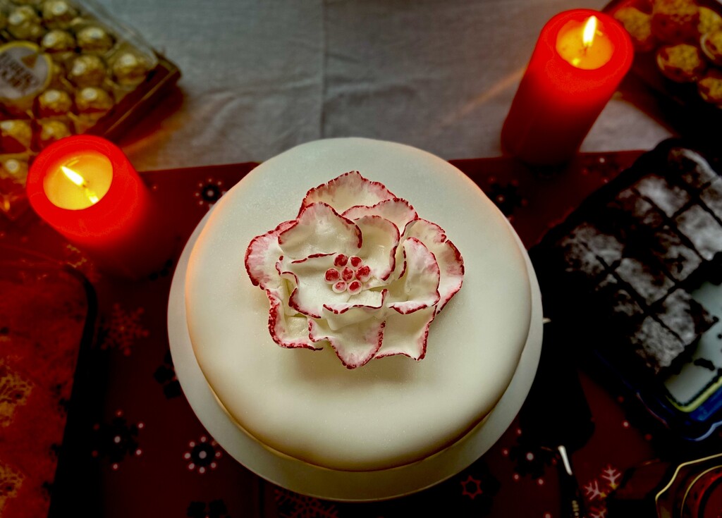 Xmas Orchid Cake  by rensala