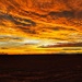 Winter Sunset by carole_sandford