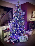 25th Dec 2023 - Christmas Tree 2023