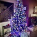 Christmas Tree 2023 by calm