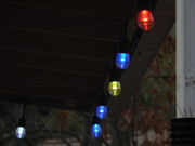 25th Dec 2023 - Neighbor's Christmas Lights