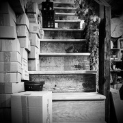 25th Dec 2023 - Secret Stairway