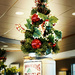 Christmas Tree by jeffjones
