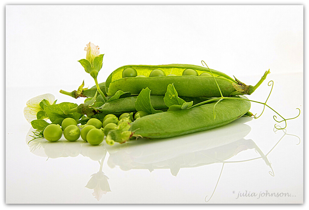 Peas in a Pod.. by julzmaioro