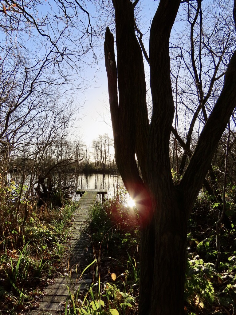 Fradley Pool by orchid99