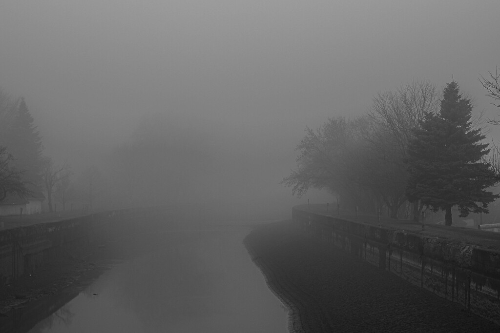 Canal fog by darchibald