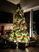 25th Dec 2023 - Oh Christmas Tree