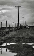 26th Dec 2023 - A road in the cane fields 