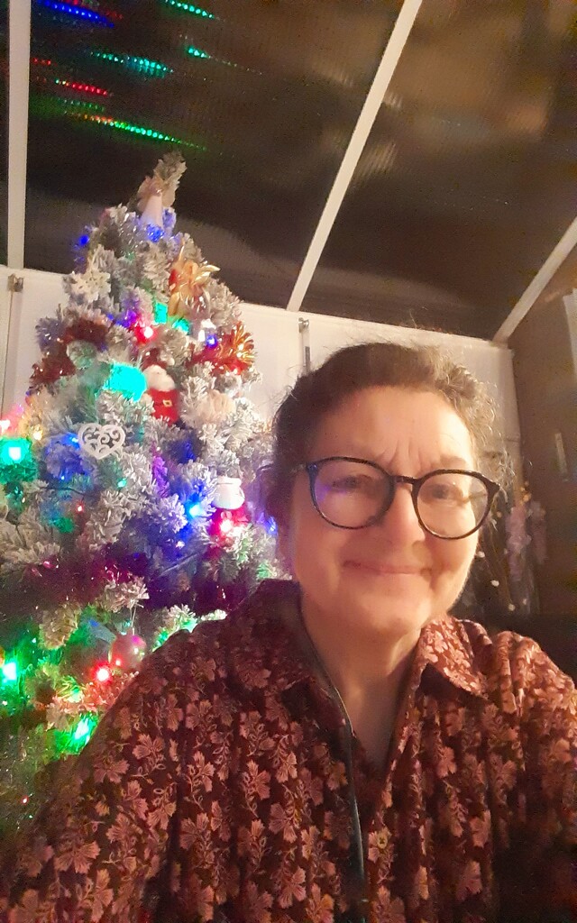 Christmas selfie. by grace55