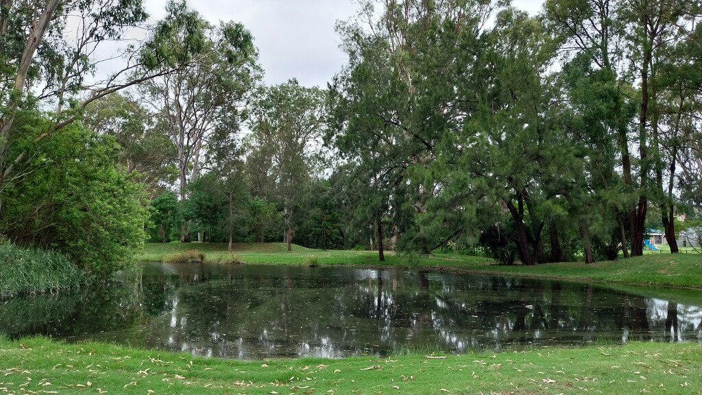 Pond @Pinner park Nanango,QLD by kerenmcsweeney
