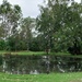 Pond @Pinner park Nanango,QLD by kerenmcsweeney