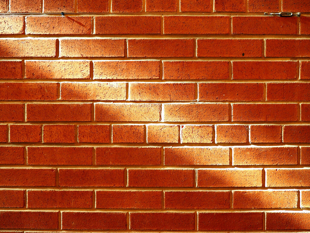 brick wall by summerfield