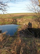 25th Dec 2023 - Beaver lodge and a mysterious shadow.