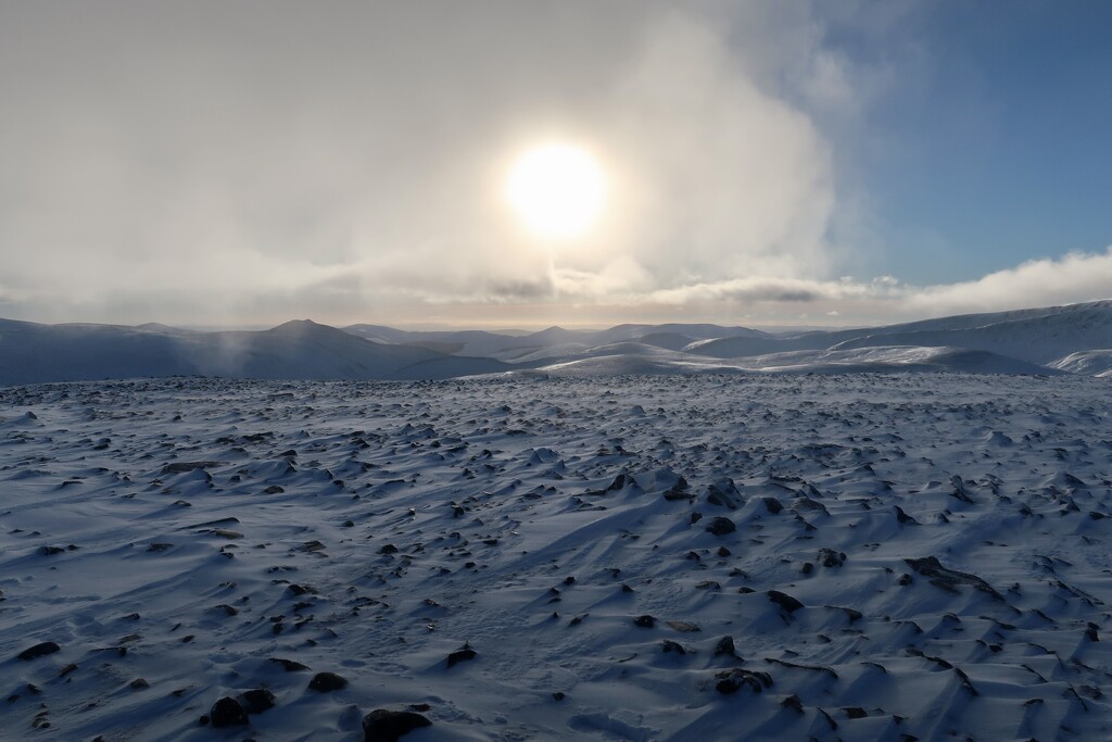 Boxing Day Walk by jamibann