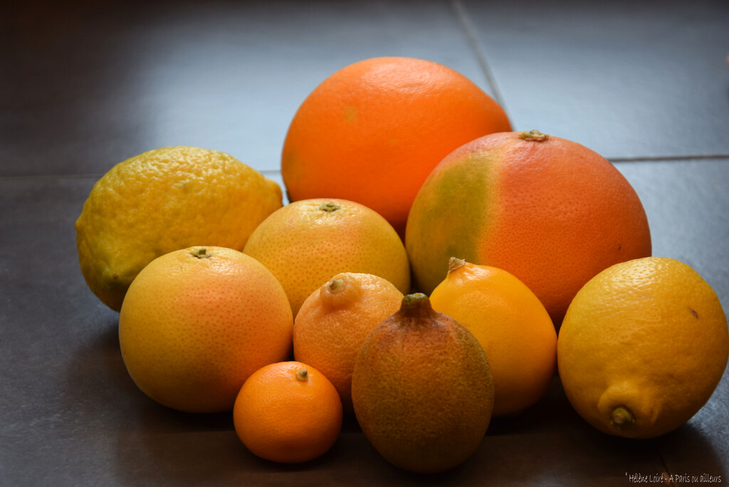 citrus by parisouailleurs