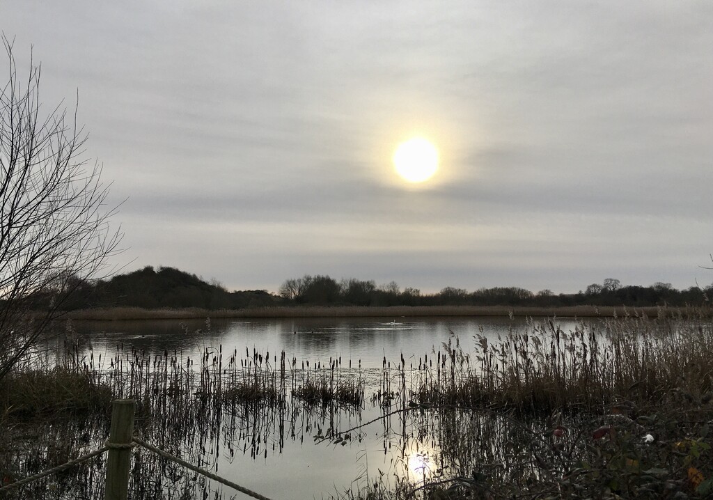 Boxing Day at the RSPB Reserve, Middleton Lakes by moominmomma