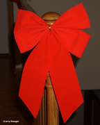 27th Dec 2023 - Red bow