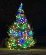 27th Dec 2023 - Town Christmas Tree