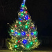 Town Christmas Tree by joansmor