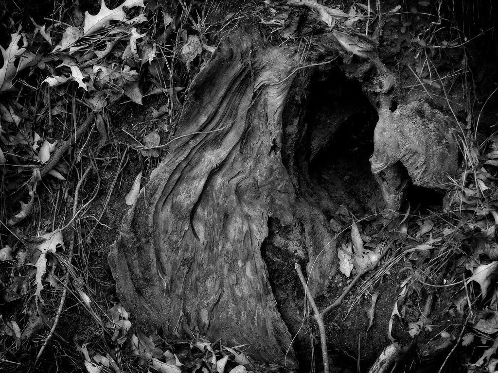 Critter hidy hole... by marlboromaam