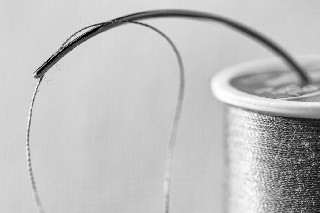 Needle and Thread by aydyn