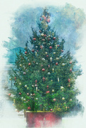 28th Dec 2023 - Oakville Town Square Tree