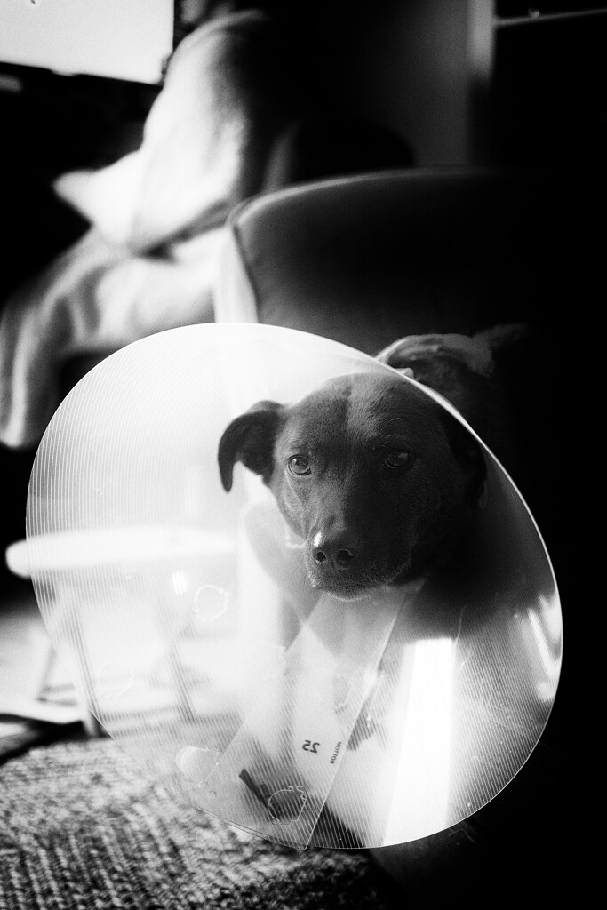 Anything B&W 3/60- The Cone by i_am_a_photographer