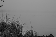 28th Dec 2023 - Misty River