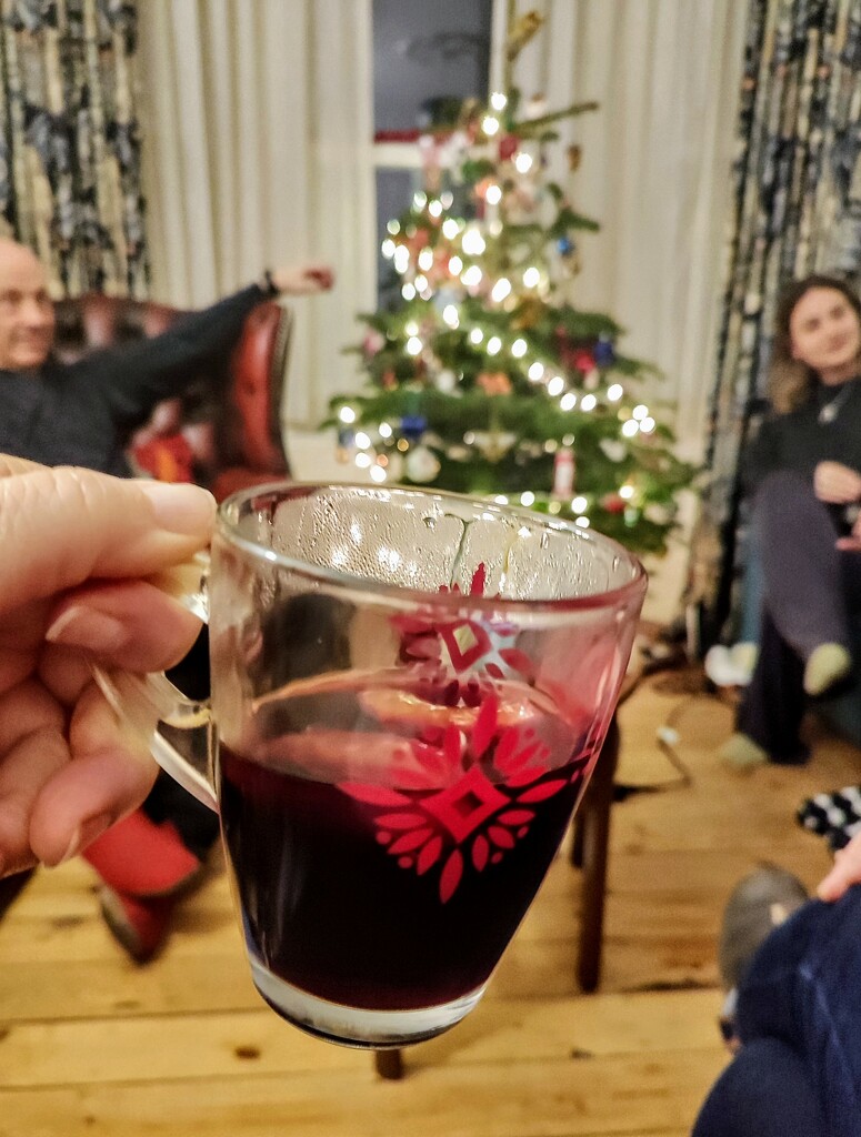 Mulled wine  by boxplayer
