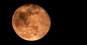28th Dec 2023 - Tonight's Almost Full Moon!
