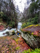 28th Dec 2023 - Wild Creek Falls