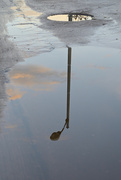 26th Dec 2023 - Lamp post puddle reflection 