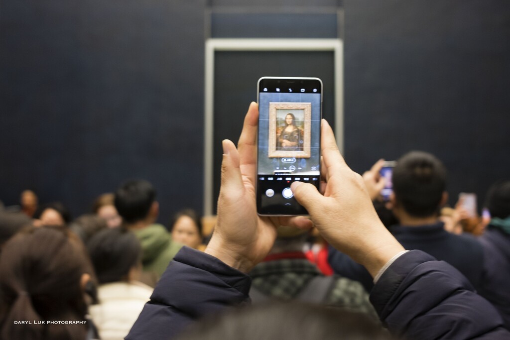D358 Today I took a picture of Mona Lisa (count down 8 days) by darylluk