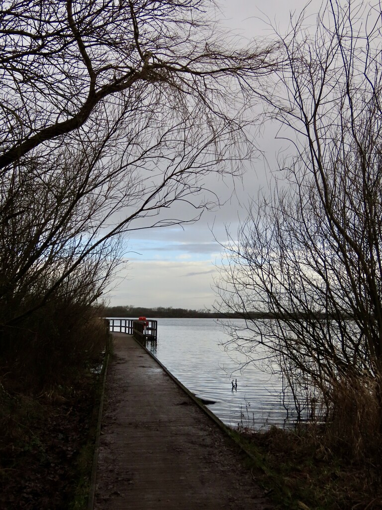 Chasewater by orchid99