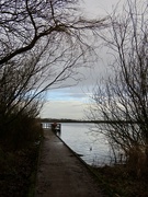 29th Dec 2023 - Chasewater