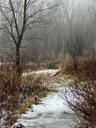 29th Dec 2023 - Foggy trail 