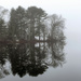 Foggy reflections by mccarth1