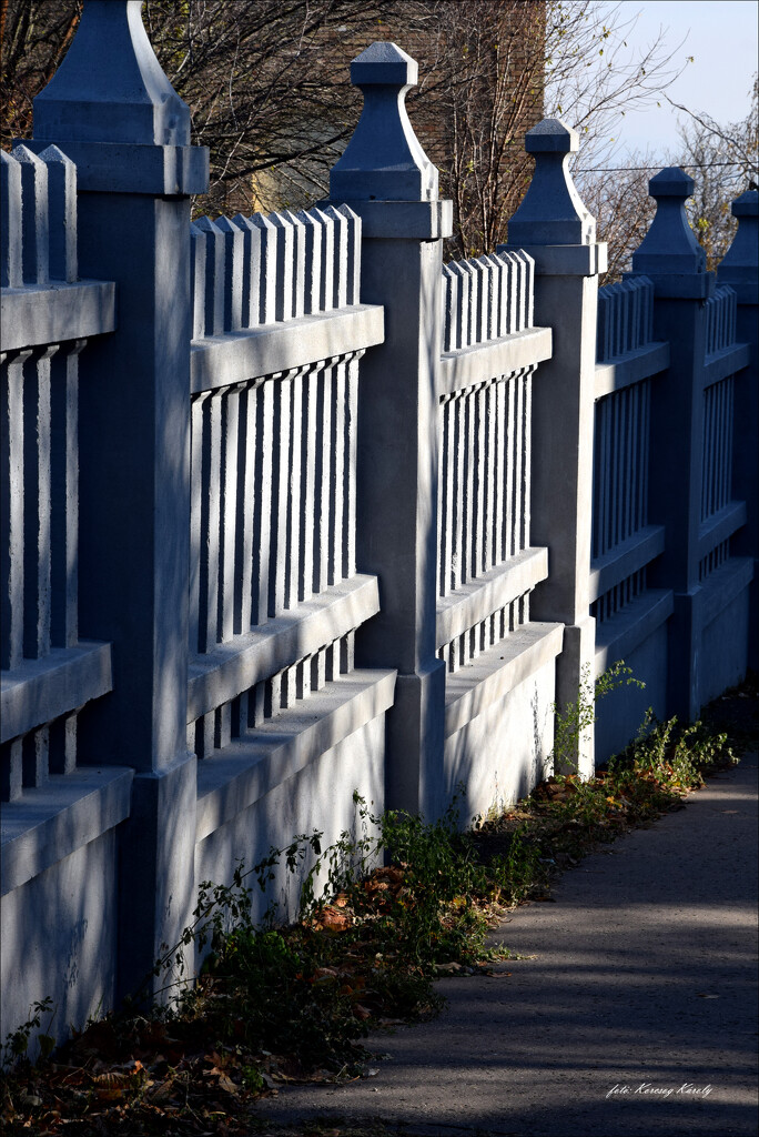 A ray of sunshine on the fence by kork