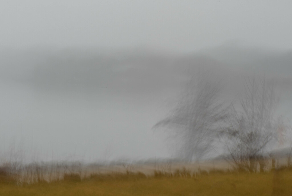 Misty River ICM by darchibald