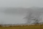 29th Dec 2023 - Misty River ICM